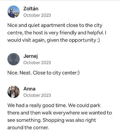 Apartment Comfy Flat In City-free Parking